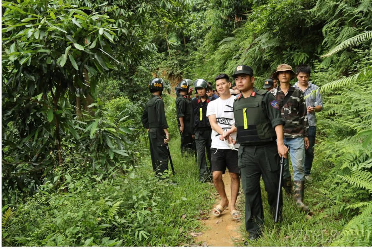 Sới bạc bí mật trên đồi quế bị triệt phá tại Lào Cai - Ảnh 2.
