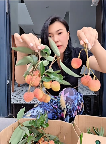 Mẹ Cua Cốm khen vải trứng Phù Cừ ngon nhất, người bán vải Thanh Hà: "Nói năng làm sao để mọi người tôn trọng nhé" - Ảnh 1. Mẹ Cua Cốm khen vải trứng Phù Cừ ngon nhất, người bán vải Thanh Hà: "Nói năng làm sao để mọi người tôn trọng nhé" - Ảnh 1.