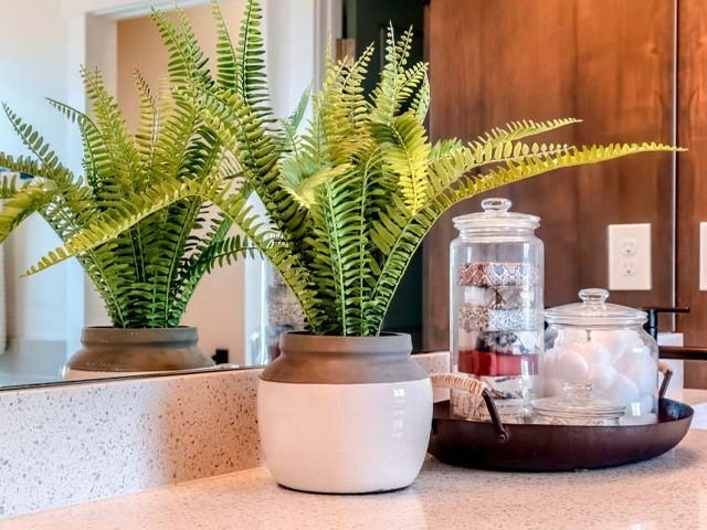 6 cây cảnh dưỡng người, "nuốt" bụi mịn cực tốt, trồng một chậu chẳng khác gì nhà có máy lọc không khí - Ảnh 3. 6 cây cảnh dưỡng người, "nuốt" bụi mịn cực tốt, trồng một chậu chẳng khác gì nhà có máy lọc không khí - Ảnh 3.