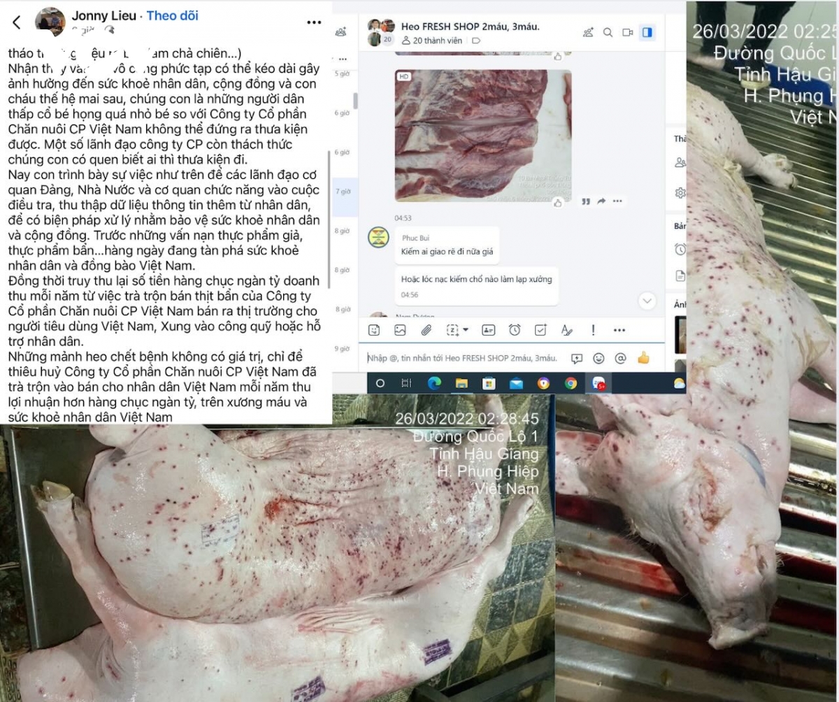 NÓNG: C.P. Việt Nam thừa nhận hình ảnh heo bệnh bị “tố” là có thật, được chụp tại cơ sở gia công thuê- Ảnh 2. NÓNG: C.P. Việt Nam thừa nhận hình ảnh heo bệnh bị “tố” là có thật, được chụp tại cơ sở gia công thuê- Ảnh 2.