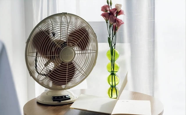 Bật điều hòa mùa hè: Người thông minh đặt 3 thứ này vào phòng, tôi hối hận vì giờ này mới biết- Ảnh 2. Bật điều hòa mùa hè: Người thông minh đặt 3 thứ này vào phòng, tôi hối hận vì giờ này mới biết- Ảnh 2.