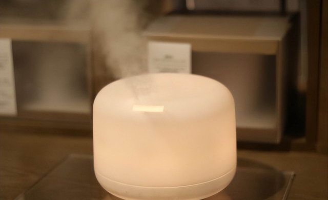 Bật điều hòa mùa hè: Người thông minh đặt 3 thứ này vào phòng, tôi hối hận vì giờ này mới biết- Ảnh 4. Bật điều hòa mùa hè: Người thông minh đặt 3 thứ này vào phòng, tôi hối hận vì giờ này mới biết- Ảnh 4.