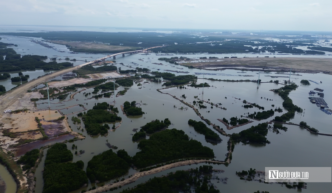 Chi&ecirc;m ngưỡng đ&agrave;n Giang Sen qu&yacute; hiếm giữa thi&ecirc;n nhi&ecirc;n B&agrave; Rịa - Vũng T&agrave;u- Ảnh 4.
