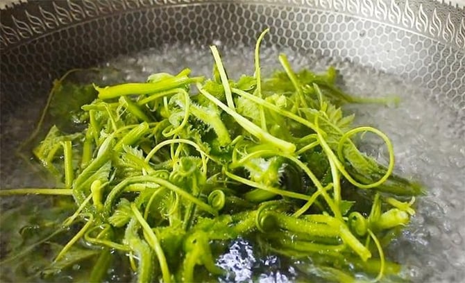 - Ảnh 3.