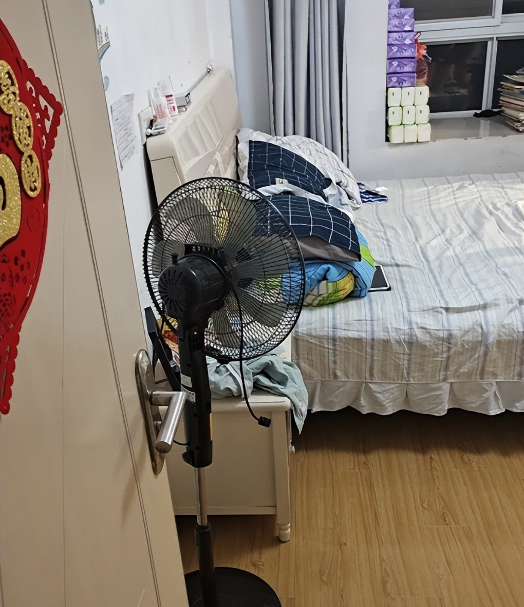- Ảnh 2.
