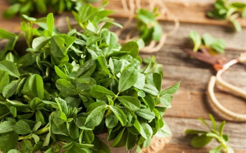 Các nhà khoa học phát hiện rau quen thuộc là khắc tinh của vi nhựa - Ảnh 2.