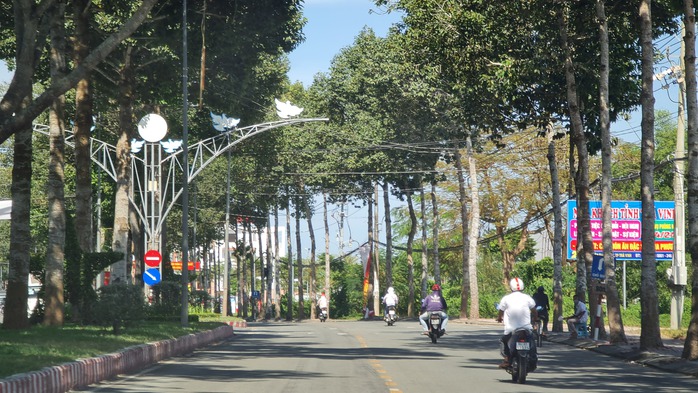 Ph&aacute;t triển đ&ocirc; thị kh&ocirc;ng ảnh hưởng c&acirc;y xanh- Ảnh 1.