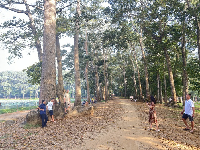 Ph&aacute;t triển đ&ocirc; thị kh&ocirc;ng ảnh hưởng c&acirc;y xanh- Ảnh 2.