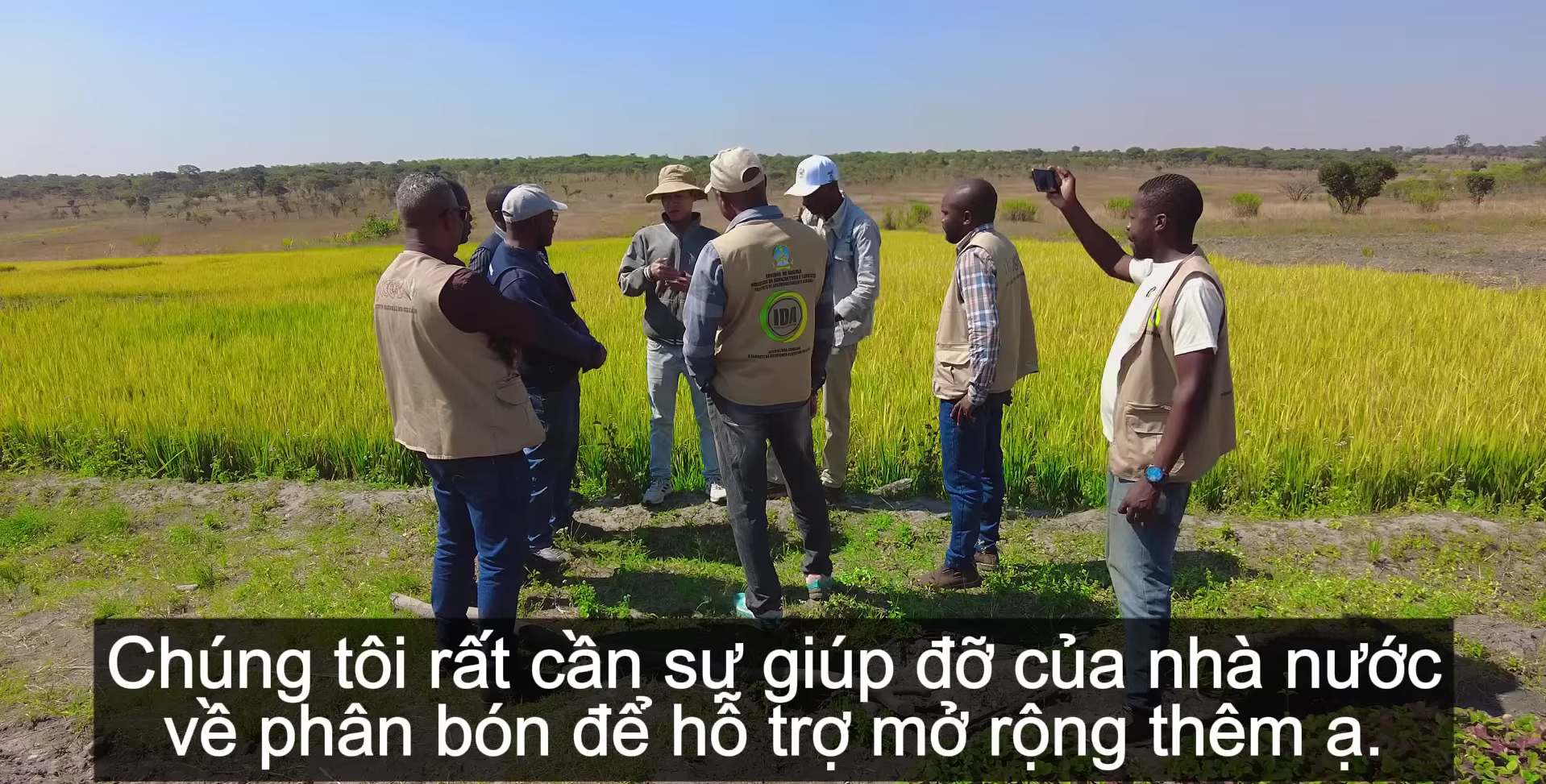 - Ảnh 6.