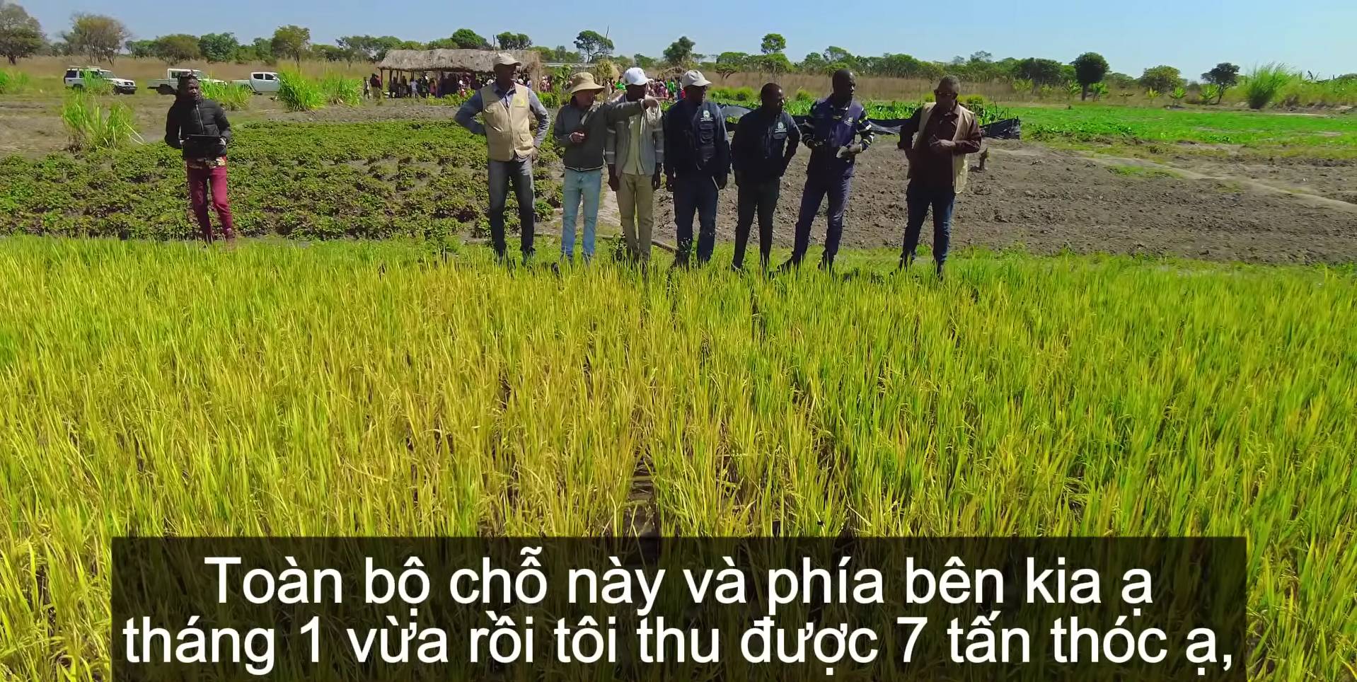 - Ảnh 4.