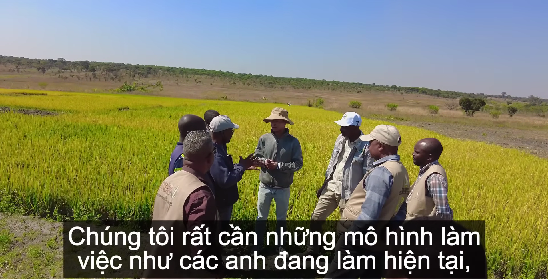 - Ảnh 7.