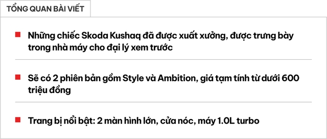 Ảnh thực tế 2 bản Skoda Kushaq tại Việt Nam: Giá dự kiến từ dưới 600 triệu đồng, ra mắt tháng này cạnh tranh Xforce, Creta - Ảnh 1.