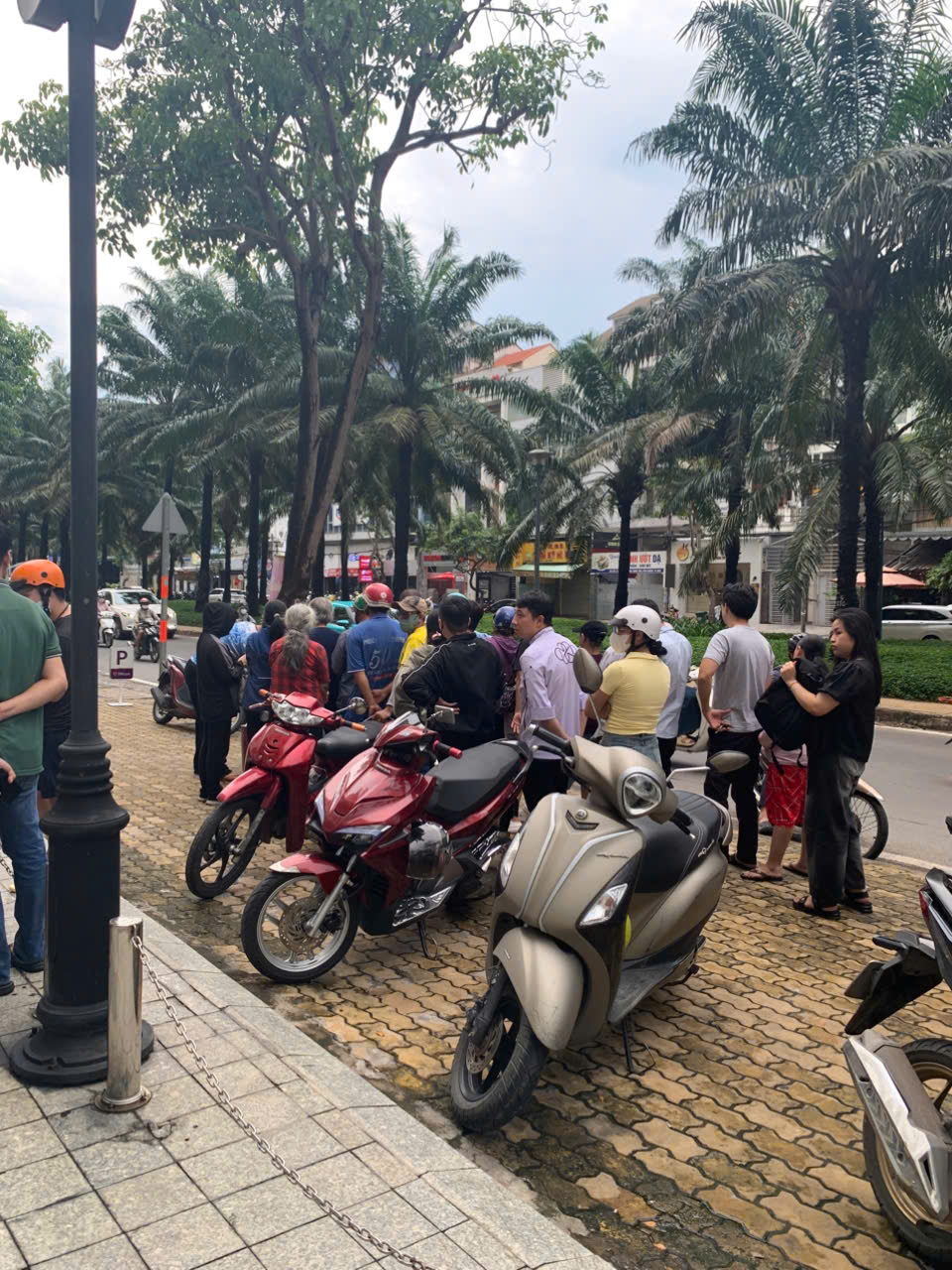 Điểm bán cua hấp trên vỉa hè TP HCM có gì đặc biệt mà khách chen kín mỗi chiều? - Ảnh 1.