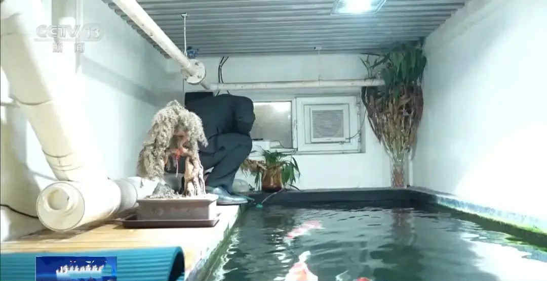 Tranh chấp cải tạo tầng hầm chung cư thành ao cá Koi  - Ảnh 2.