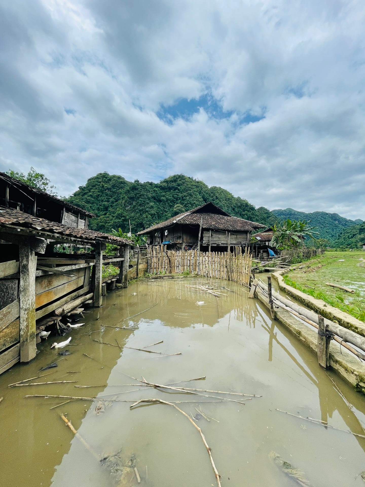 Ngôi làng “bị bỏ quên” ở miền Bắc: Không điện, không đường, nhưng vẫn đón nườm nượp khách ghé thăm - Ảnh 11. Ngôi làng “bị bỏ quên” ở miền Bắc: Không điện, không đường, nhưng vẫn đón nườm nượp khách ghé thăm - Ảnh 11.