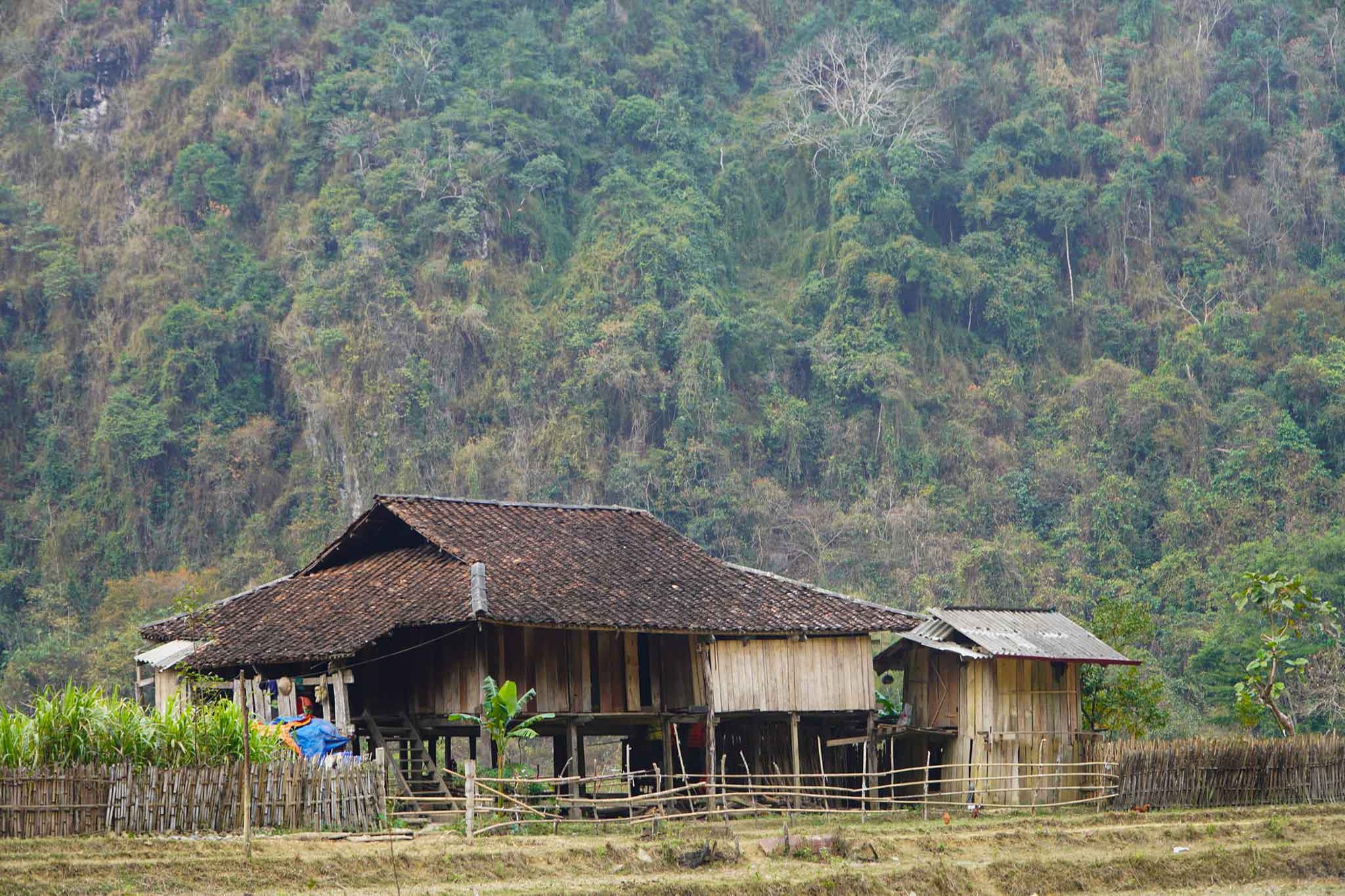 Ngôi làng “bị bỏ quên” ở miền Bắc: Không điện, không đường, nhưng vẫn đón nườm nượp khách ghé thăm - Ảnh 8. Ngôi làng “bị bỏ quên” ở miền Bắc: Không điện, không đường, nhưng vẫn đón nườm nượp khách ghé thăm - Ảnh 8.