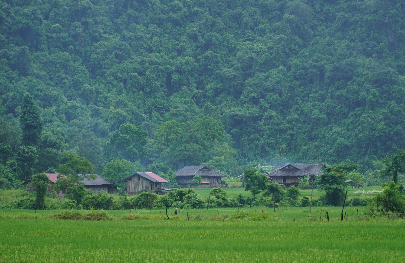 Ngôi làng “bị bỏ quên” ở miền Bắc: Không điện, không đường, nhưng vẫn đón nườm nượp khách ghé thăm - Ảnh 1. Ngôi làng “bị bỏ quên” ở miền Bắc: Không điện, không đường, nhưng vẫn đón nườm nượp khách ghé thăm - Ảnh 1.