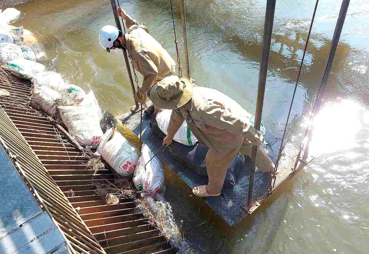 Ám ảnh xác heo chết trôi nổi trên kênh cấp nước Đông Nam bộ - Ảnh 1.