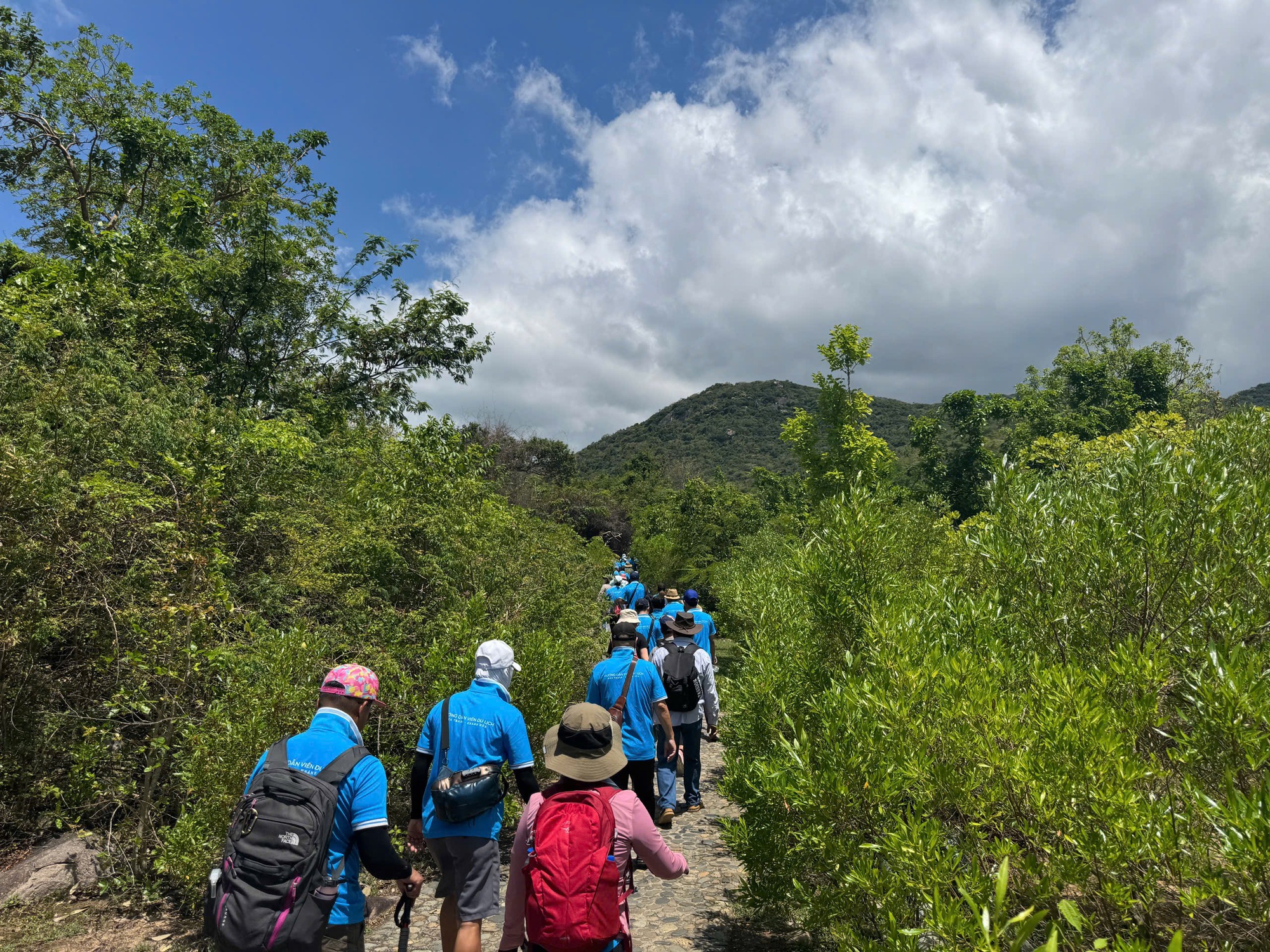 Mùa hoa xay trên Núi Chúa- Ảnh 3.