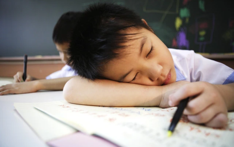 Cha dùng giấy tờ giả để cho con trai học trường điểm - Ảnh 1.