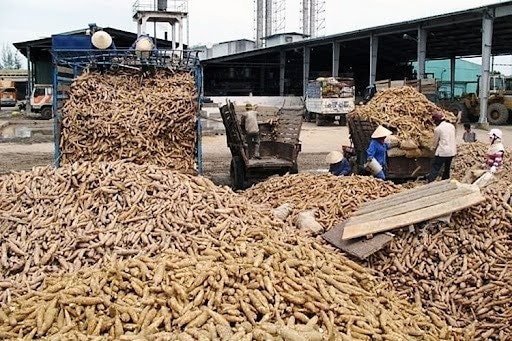 Hàng chục nghìn tấn hàng ùn ứ ở cửa khẩu: Bộ trưởng Thái Lan vừa nhấn mạnh điều gì? - Ảnh 1. Hàng chục nghìn tấn hàng ùn ứ ở cửa khẩu: Bộ trưởng Thái Lan vừa nhấn mạnh điều gì? - Ảnh 1.