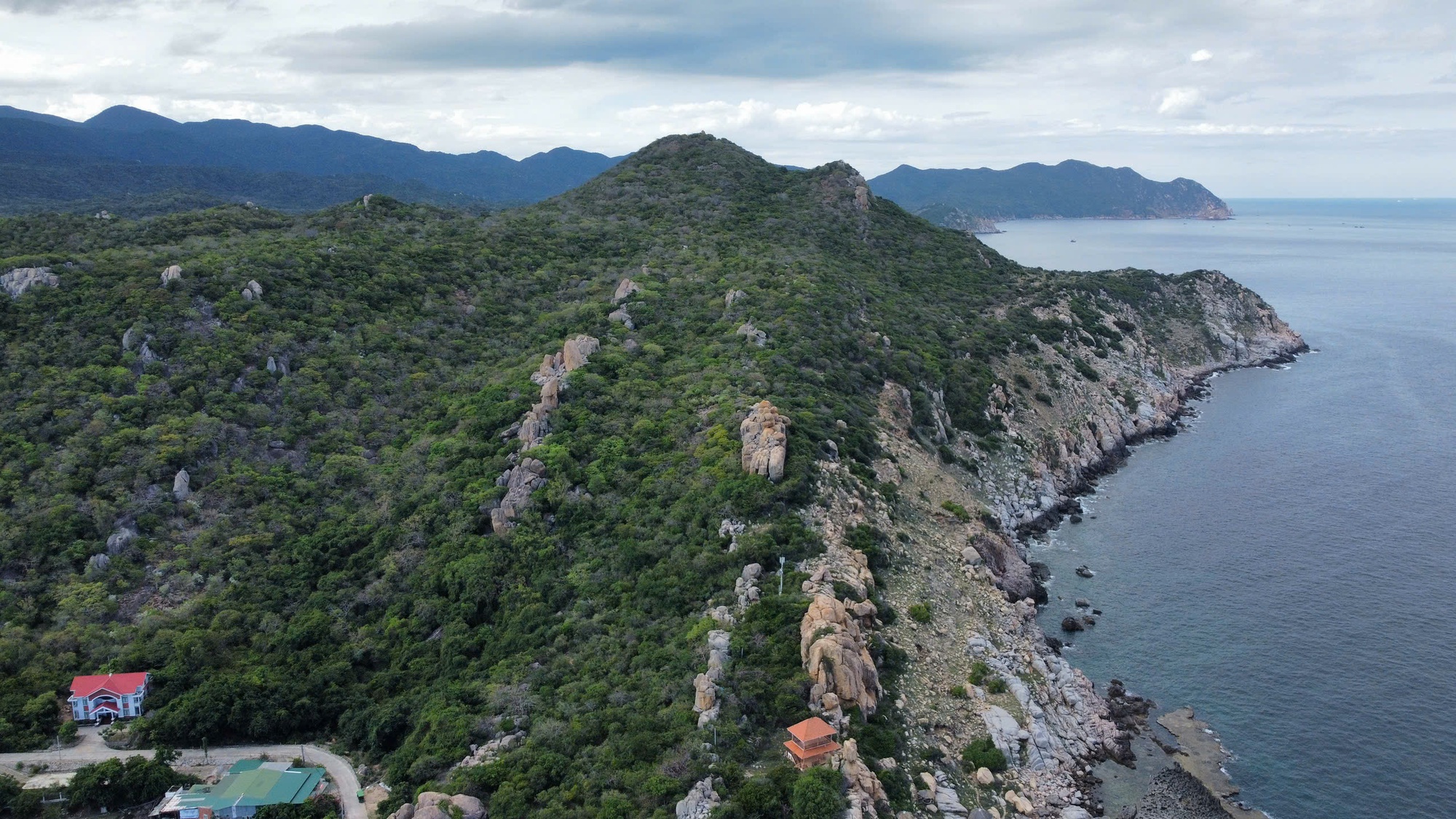 Mùa hoa xay trên Núi Chúa- Ảnh 1.