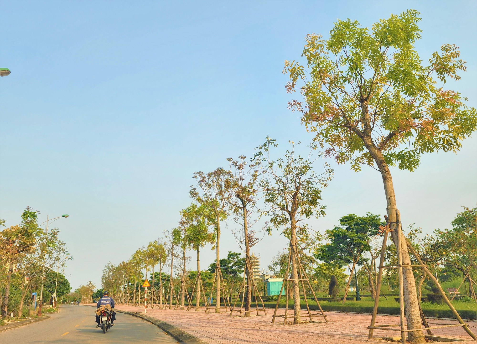 Quảng Bình không bổ nhiệm cán bộ kỷ luật vào vị trí cao hơn từ 2020 - Ảnh 1. Quảng Bình không bổ nhiệm cán bộ kỷ luật vào vị trí cao hơn từ 2020 - Ảnh 1.