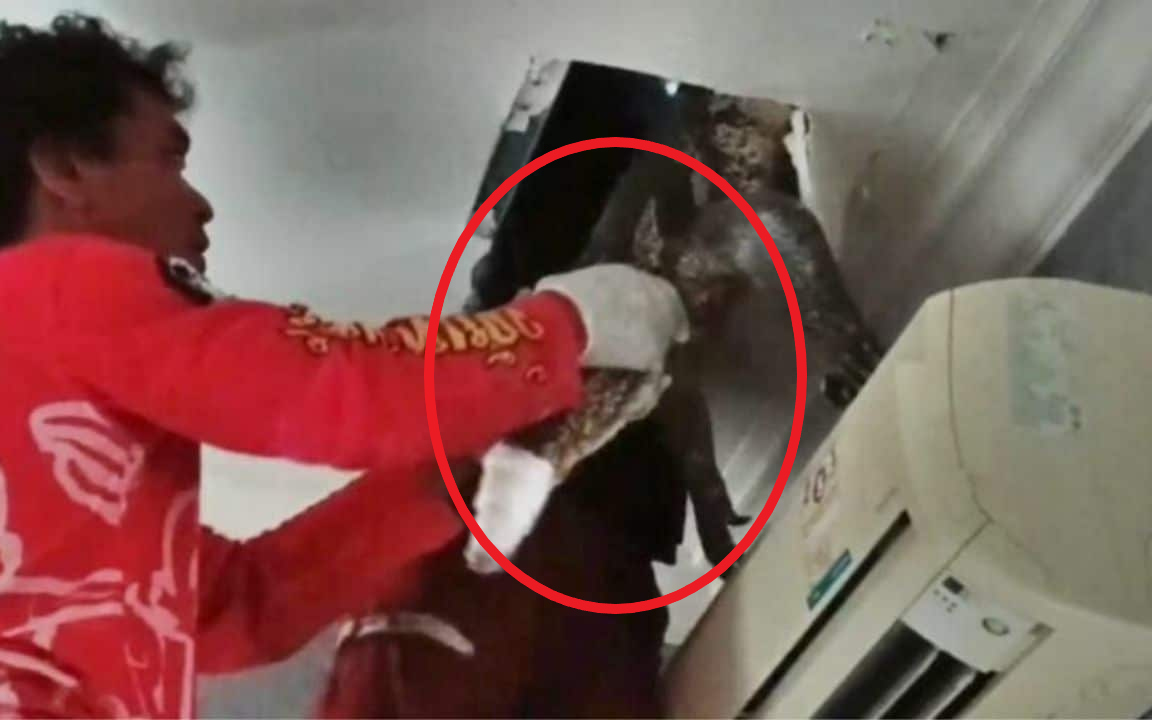 Tâm lý học: Người thích nói 4 CÂU sau có vẻ ngoài tử tế nhưng tâm địa hiểm ác, đừng dại kết thân - Ảnh 4.