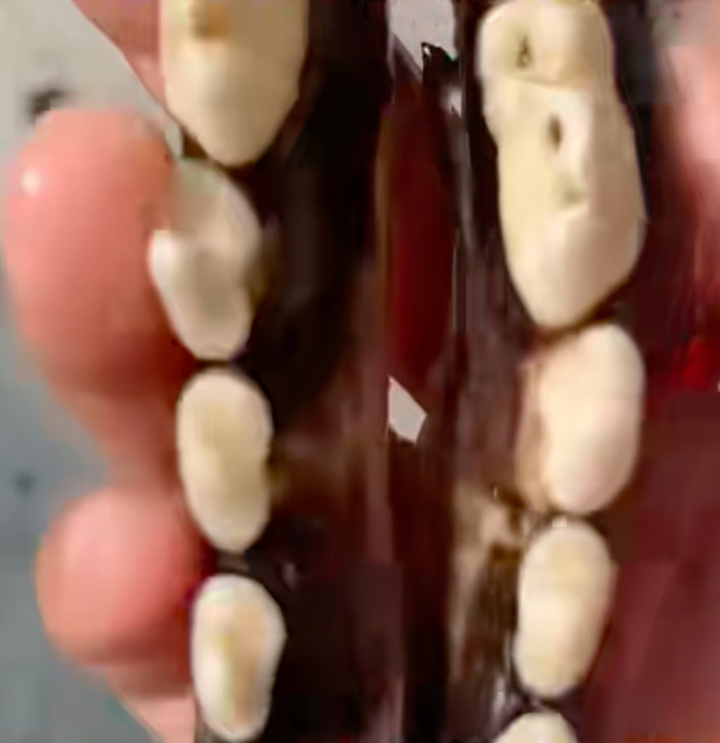 Buổi livestream nhổ răng chó sống gây phẫn nộ trên mạng xã hội  - Ảnh 2.