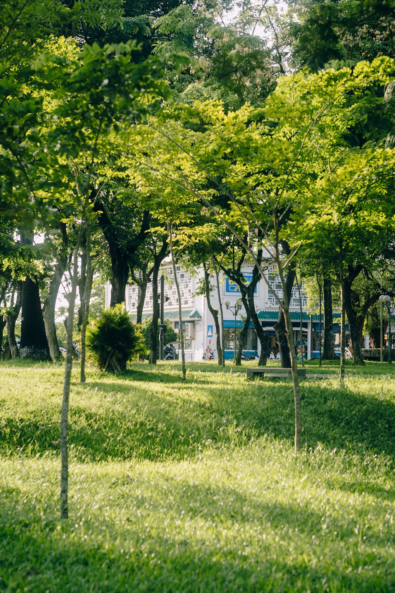 Tấm ảnh không tin nổi là Huế, dân tình rần rần săn lùng địa chỉ "đẹp như phim" này - Ảnh 5. Tấm ảnh không tin nổi là Huế, dân tình rần rần săn lùng địa chỉ "đẹp như phim" này - Ảnh 5.
