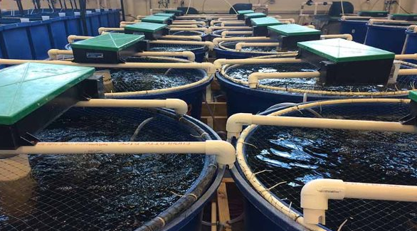 Mỹ, Trung Quốc đua nhau săn mua mỏ vàng của Việt Nam: Bỏ túi hơn 1,7 tỷ USD, nước ta đang trở thành ‘ông trùm’ thứ 3 thế giới