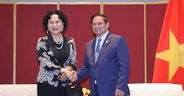 Gặp Thủ tướng, chuyên gia của đặc khu kinh tế thành công nhất Trung Quốc sẵn sàng hợp tác với Việt Nam