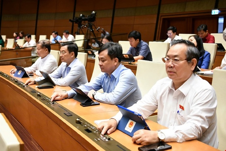 Quốc hội thông qua luật bán tang vật vi phạm hành chính từ 2025 - Ảnh 1.