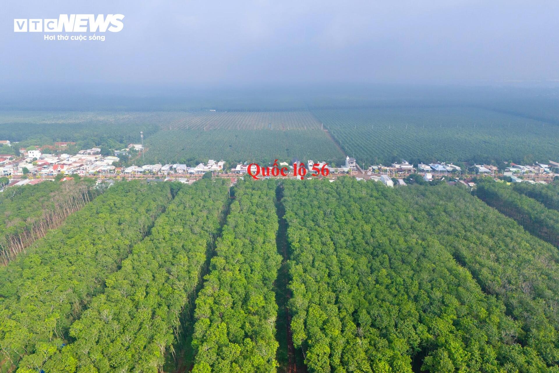 Cao tốc Hồ Tràm - sân bay Long Thành: Dự án giao thông chiến lược cho Bà Rịa - Vũng Tàu - Ảnh 6. Cao tốc Hồ Tràm - sân bay Long Thành: Dự án giao thông chiến lược cho Bà Rịa - Vũng Tàu - Ảnh 6.