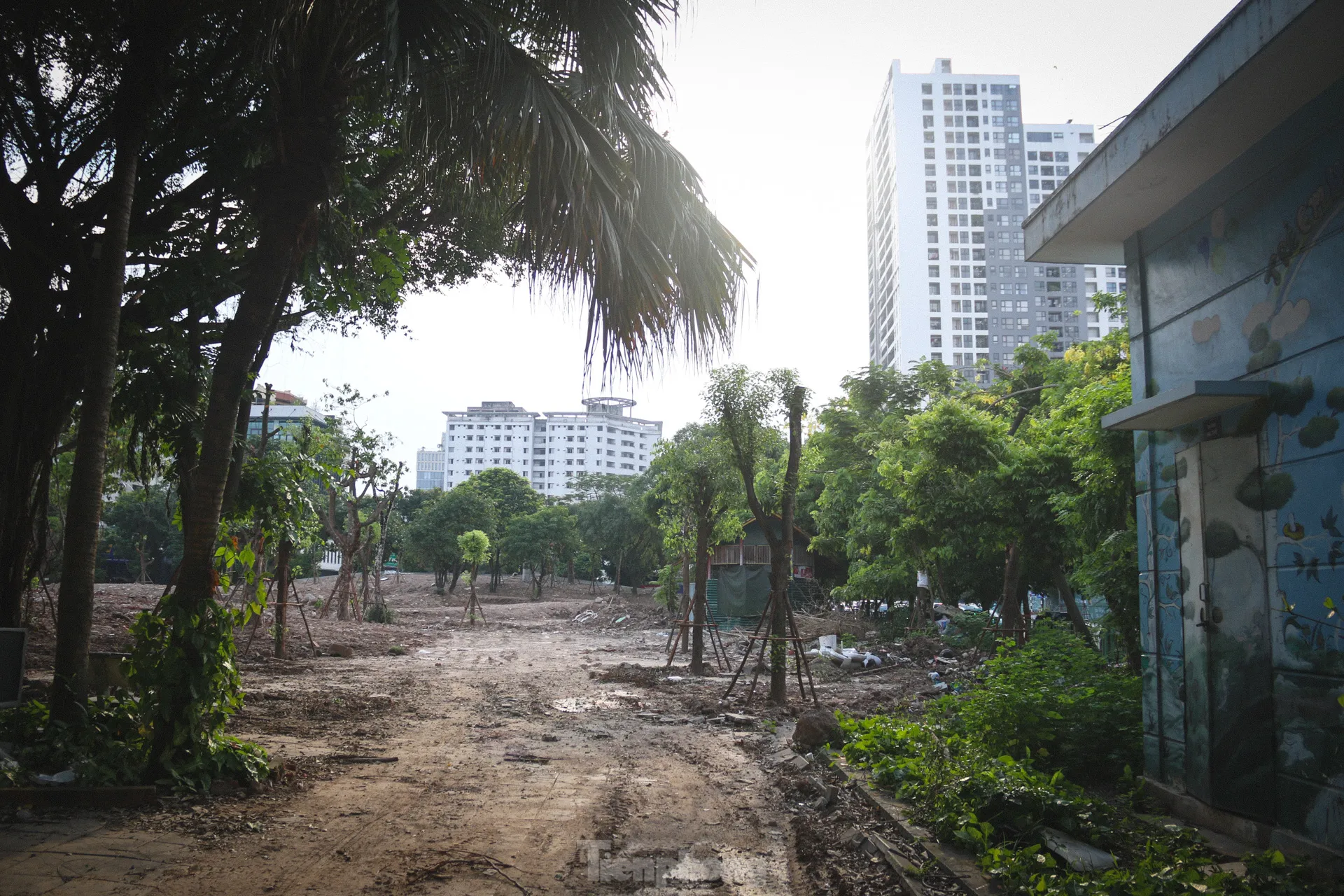 Hiện trạng hai công viên được ‘hồi sinh’ tại Hà Nội - Ảnh 5.