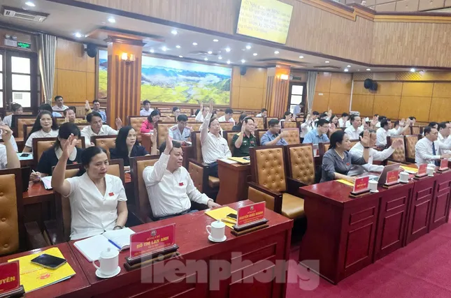 Cho thôi làm đại biểu HĐND tỉnh Lạng Sơn do vi phạm chứng chỉ giả - Ảnh 1.