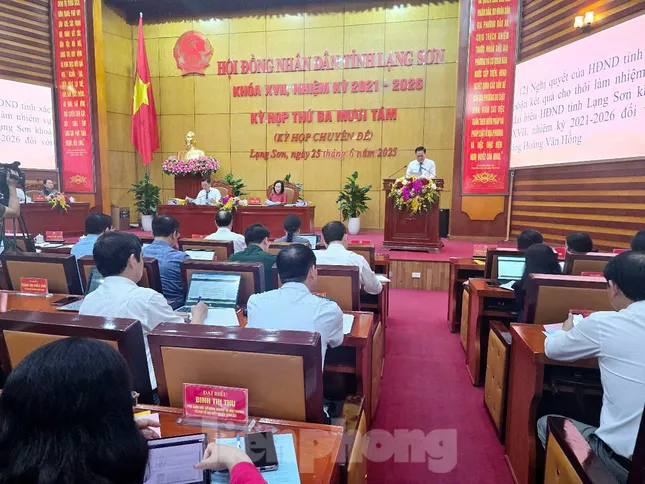 Cho thôi làm đại biểu HĐND tỉnh Lạng Sơn do vi phạm chứng chỉ giả - Ảnh 2.