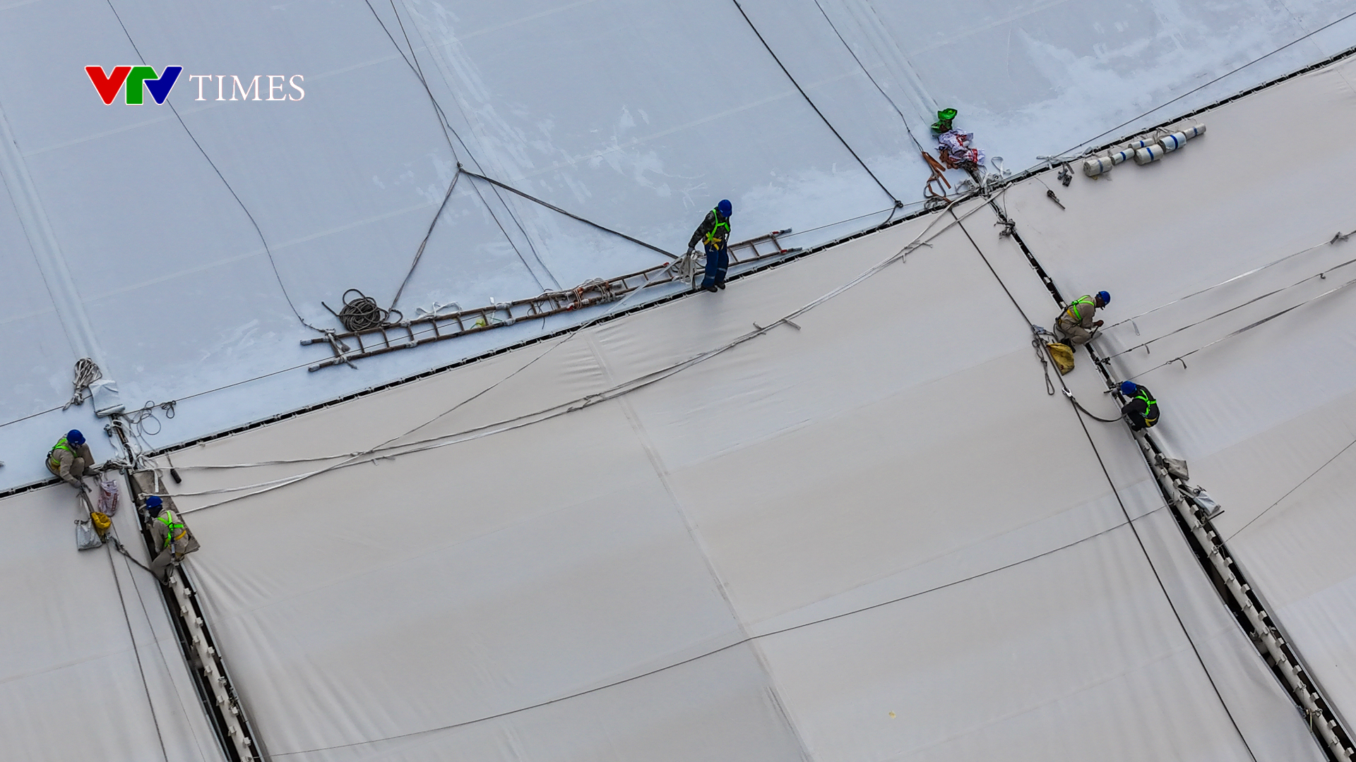 'Thần r&ugrave;a Kim Quy' khổng lồ ở Đ&ocirc;ng Anh sẵn s&agrave;ng ch&agrave;o đ&oacute;n Quốc kh&aacute;nh 2/9 - Ảnh 5.