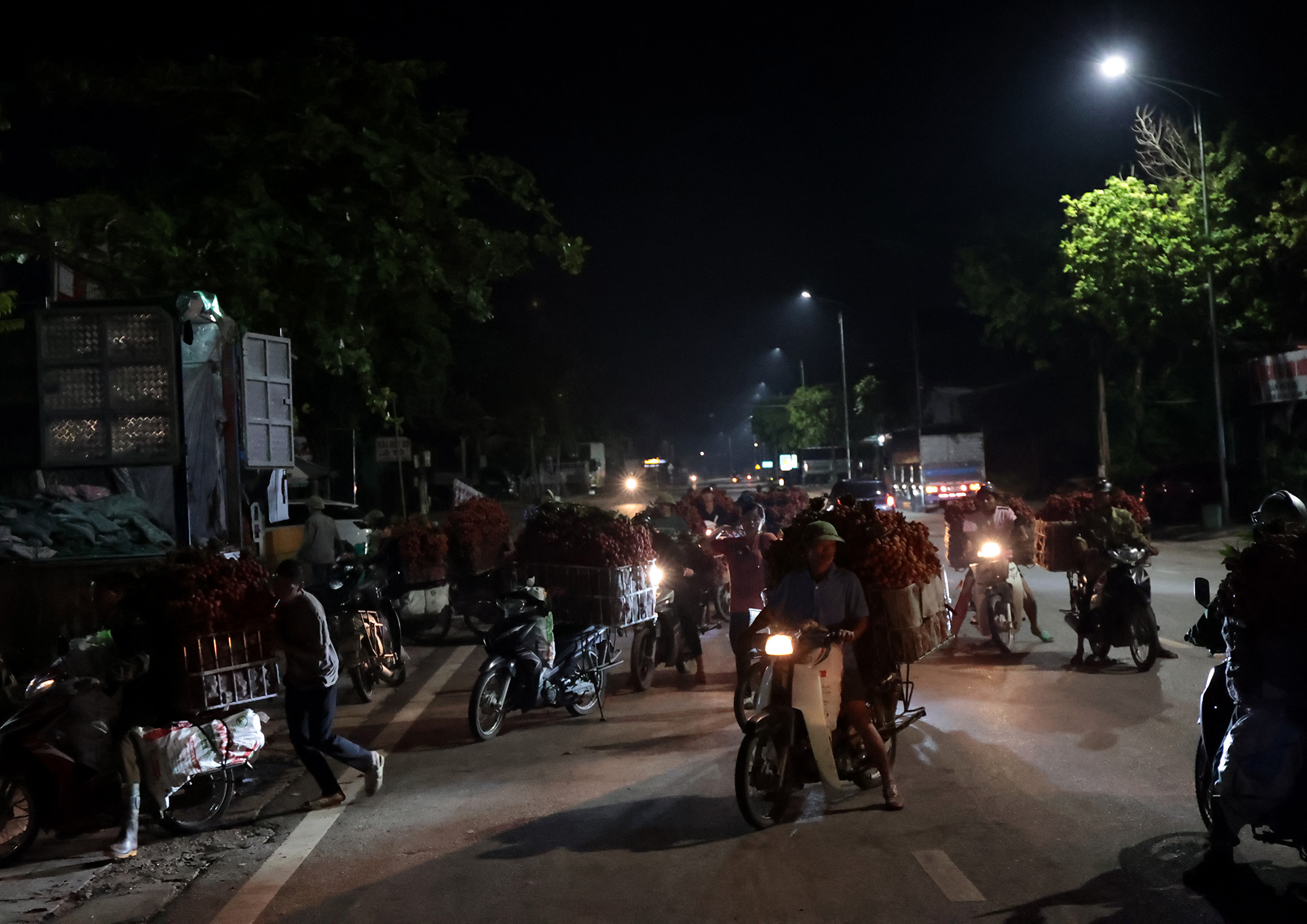 Cảnh tượng lúc 2 giờ sáng ở Bắc Giang: Người dân tất bật hái vải thiều cho mùa vụ - Ảnh 5. Cảnh tượng lúc 2 giờ sáng ở Bắc Giang: Người dân tất bật hái vải thiều cho mùa vụ - Ảnh 5.