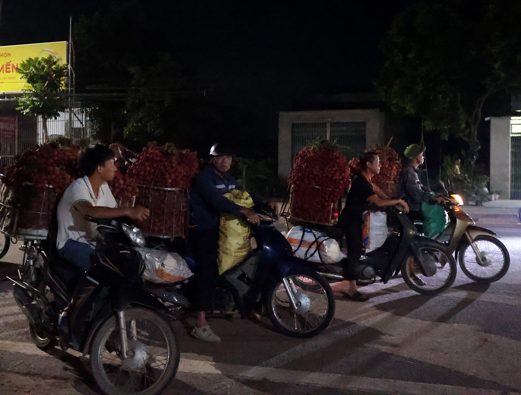 Cảnh tượng lúc 2 giờ sáng ở Bắc Giang: Người dân tất bật hái vải thiều cho mùa vụ - Ảnh 6. Cảnh tượng lúc 2 giờ sáng ở Bắc Giang: Người dân tất bật hái vải thiều cho mùa vụ - Ảnh 6.