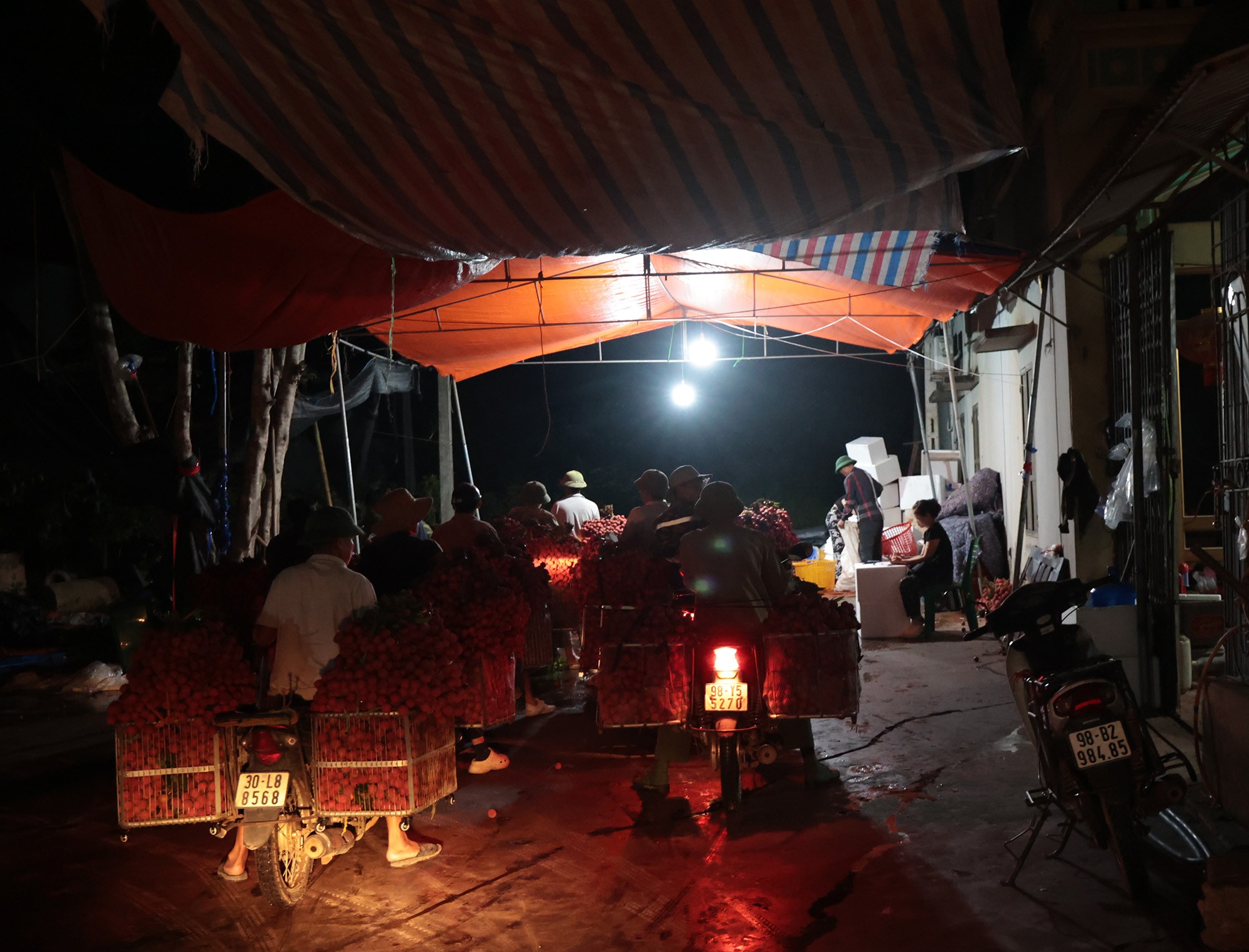 Cảnh tượng lúc 2 giờ sáng ở Bắc Giang: Người dân tất bật hái vải thiều cho mùa vụ - Ảnh 7. Cảnh tượng lúc 2 giờ sáng ở Bắc Giang: Người dân tất bật hái vải thiều cho mùa vụ - Ảnh 7.