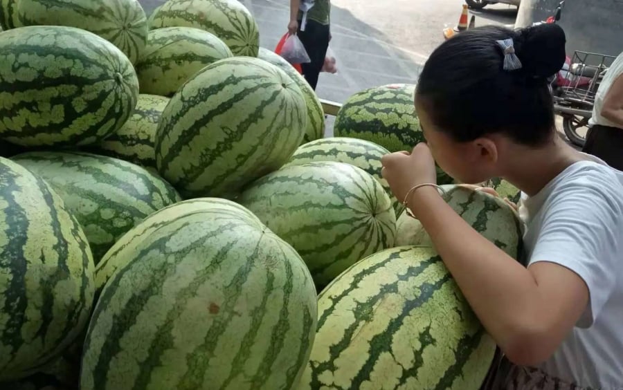 Mẹo chọn dưa hấu chín ngọt tự nhiên cho mùa hè - Ảnh 2. Mẹo chọn dưa hấu chín ngọt tự nhiên cho mùa hè - Ảnh 2.