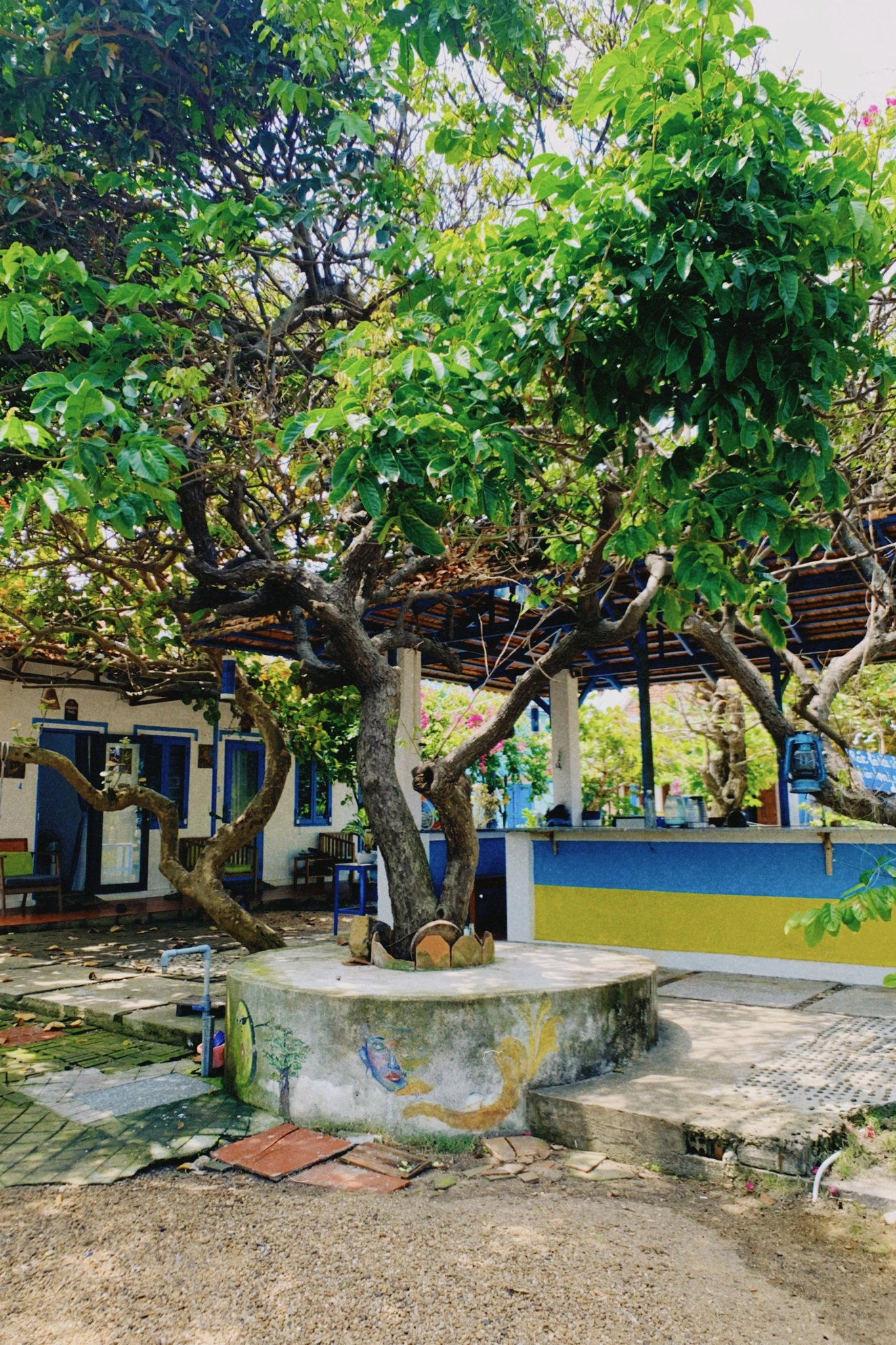 Hành trình rời Hà Nội về Phú Yên của cô nàng 25 tuổi: Từ bỏ công việc 30 triệu/tháng, về sống ở làng chài, tiêu 5 triệu/tháng vẫn còn tiền gửi về cho gia đình- Ảnh 5.