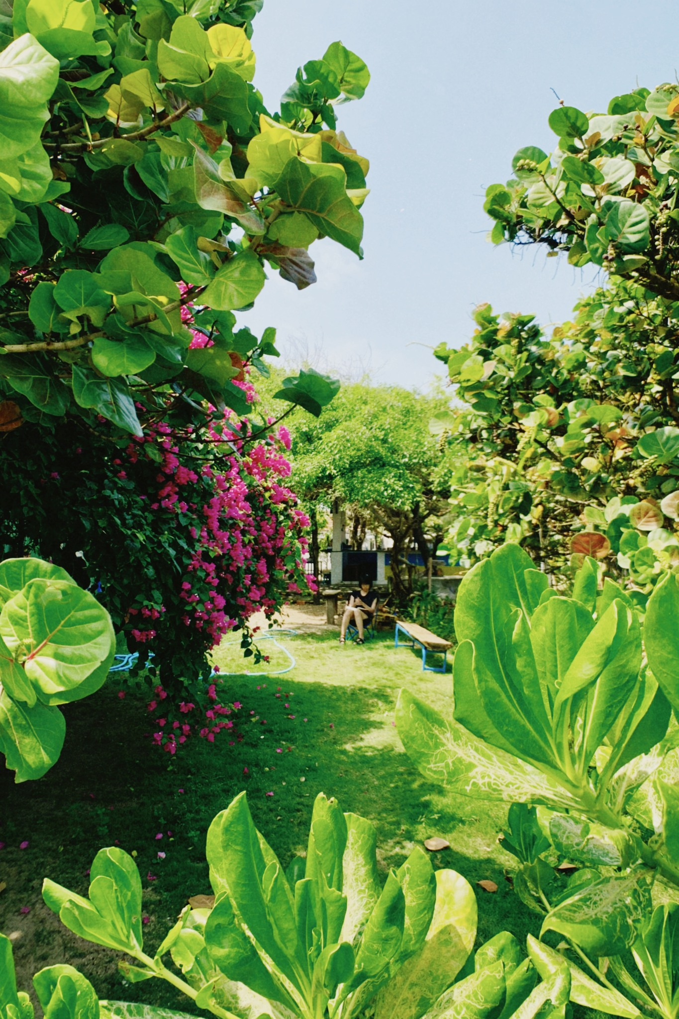 Hành trình rời Hà Nội về Phú Yên của cô nàng 25 tuổi: Từ bỏ công việc 30 triệu/tháng, về sống ở làng chài, tiêu 5 triệu/tháng vẫn còn tiền gửi về cho gia đình- Ảnh 6.