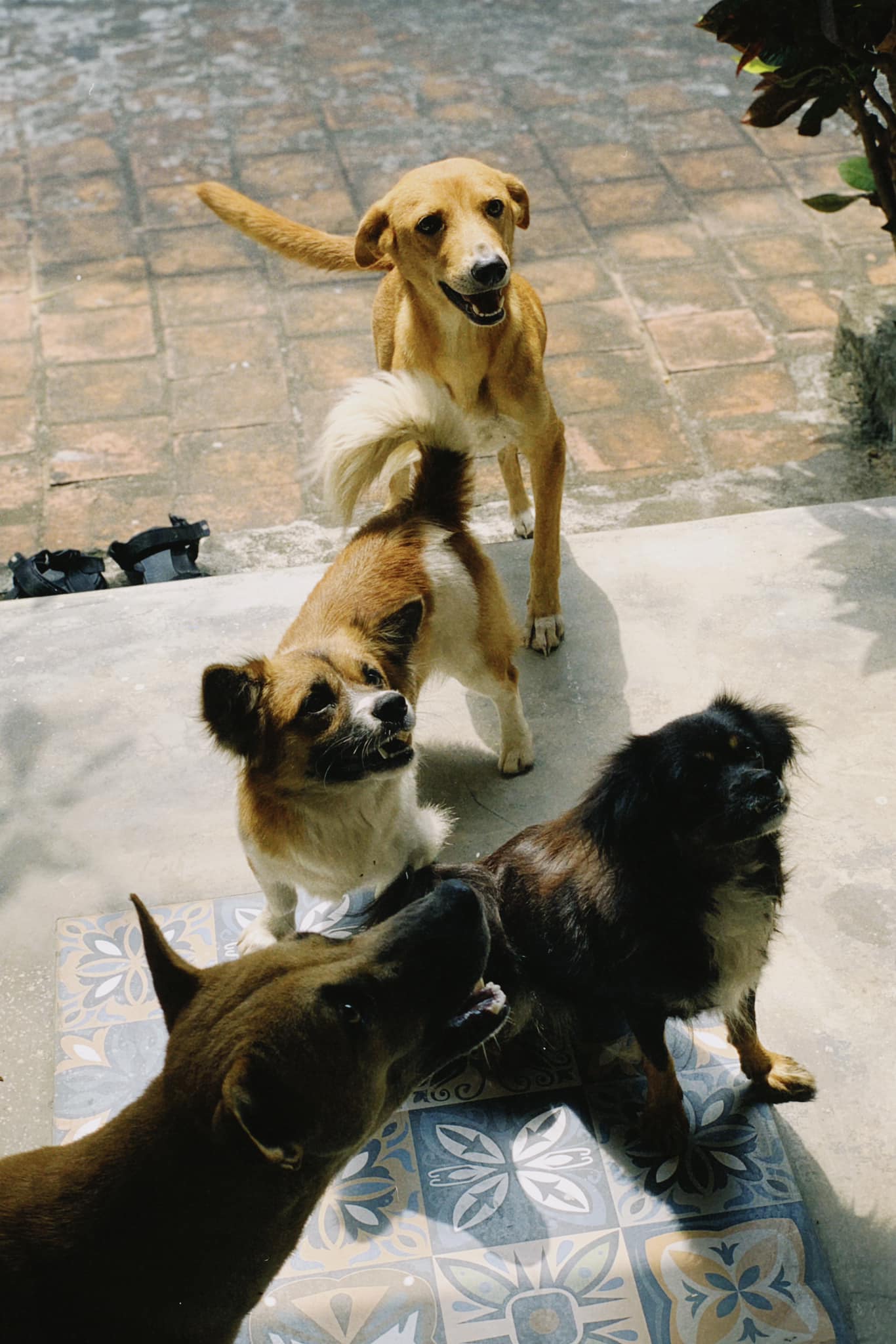 Hành trình rời Hà Nội về Phú Yên của cô nàng 25 tuổi: Từ bỏ công việc 30 triệu/tháng, về sống ở làng chài, tiêu 5 triệu/tháng vẫn còn tiền gửi về cho gia đình- Ảnh 9.