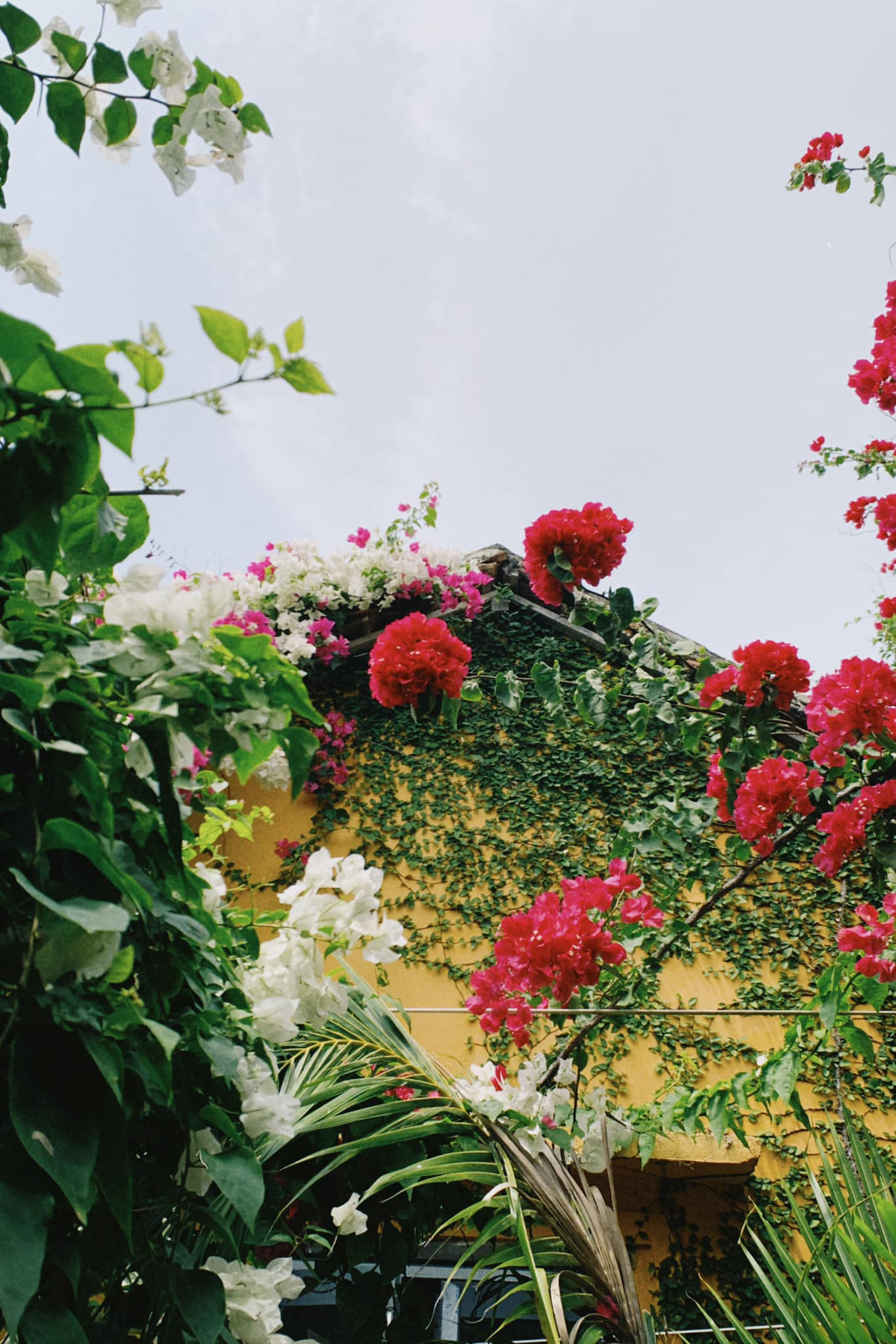 Hành trình rời Hà Nội về Phú Yên của cô nàng 25 tuổi: Từ bỏ công việc 30 triệu/tháng, về sống ở làng chài, tiêu 5 triệu/tháng vẫn còn tiền gửi về cho gia đình- Ảnh 10.