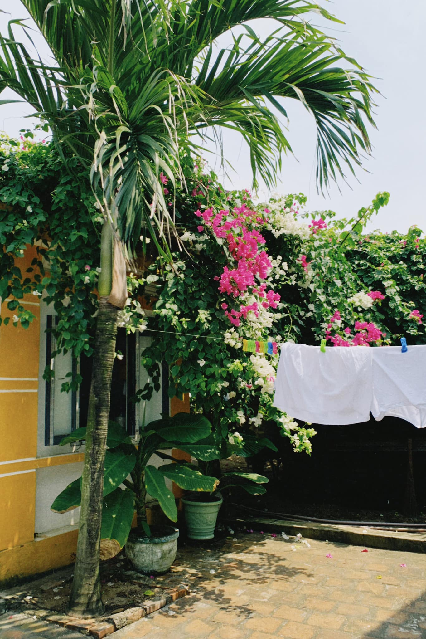 Hành trình rời Hà Nội về Phú Yên của cô nàng 25 tuổi: Từ bỏ công việc 30 triệu/tháng, về sống ở làng chài, tiêu 5 triệu/tháng vẫn còn tiền gửi về cho gia đình- Ảnh 8.