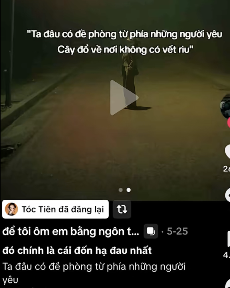 Chuyện g&igrave; đang xảy ra với vợ chồng T&oacute;c Ti&ecirc;n - Touliver?- Ảnh 1.