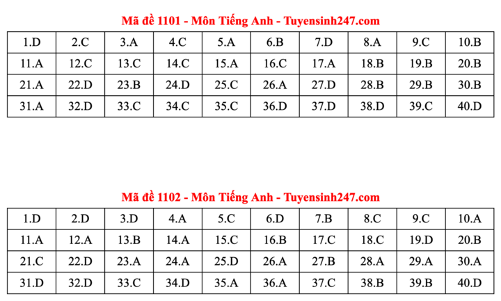 ĐÁP ÁN ANH 2025 tất cả mã đề | Đáp án môn tiếng Anh THPT Quốc Gia - Ảnh 1.