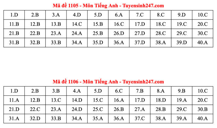 ĐÁP ÁN ANH 2025 tất cả mã đề | Đáp án môn tiếng Anh THPT Quốc Gia - Ảnh 3.
